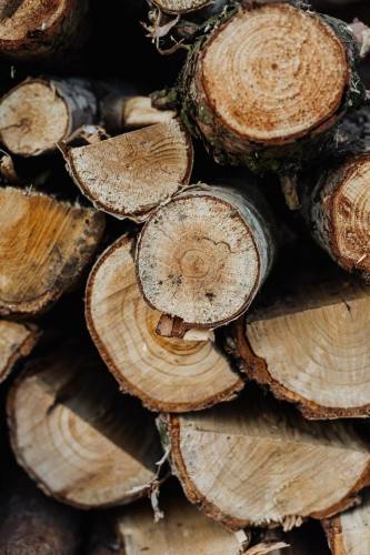 logs