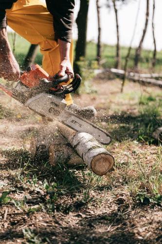 tree-cutting-2