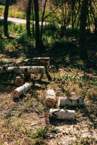 tree-cutting
